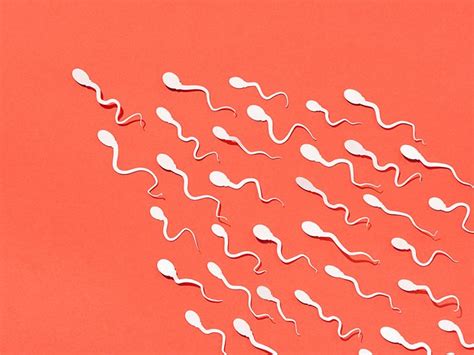 13 Facts About Semen and Sperm: Composition, Volume, and .